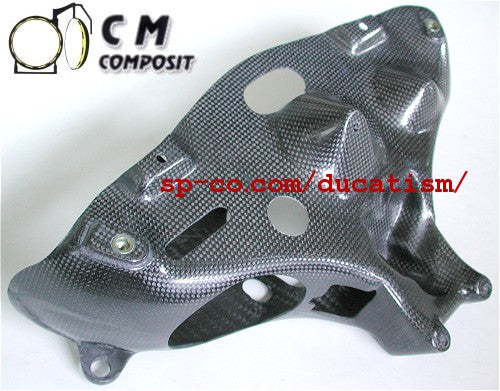 Speed Carbon DUCATI 998 996 916 748 Dry Carbon Light Case