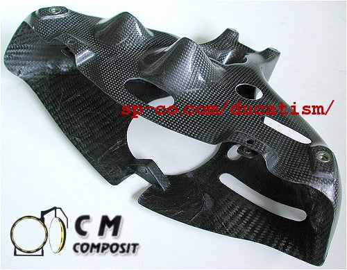 Speed Carbon DUCATI 998 996 916 748 Dry Carbon Light Case