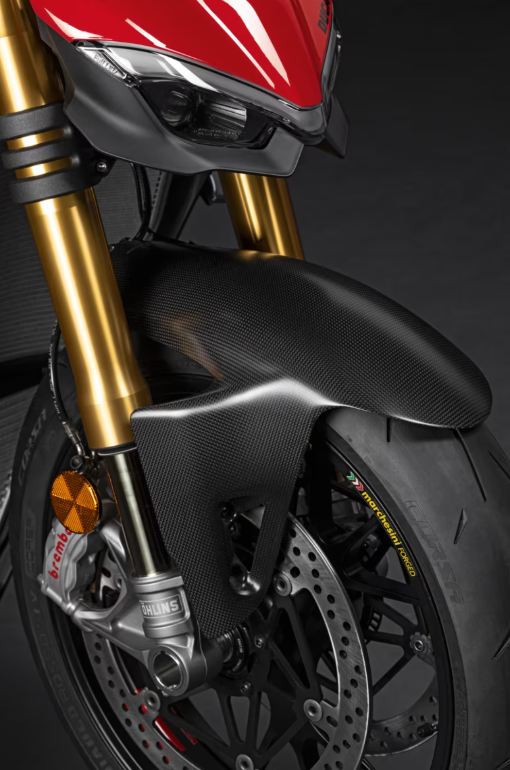 イタリア在庫あり DUCATI PanigaleV4/V2 StreetFighterV4/V2 96989971A カーボン製 フロントマッドガード ドゥカティ DP純正品