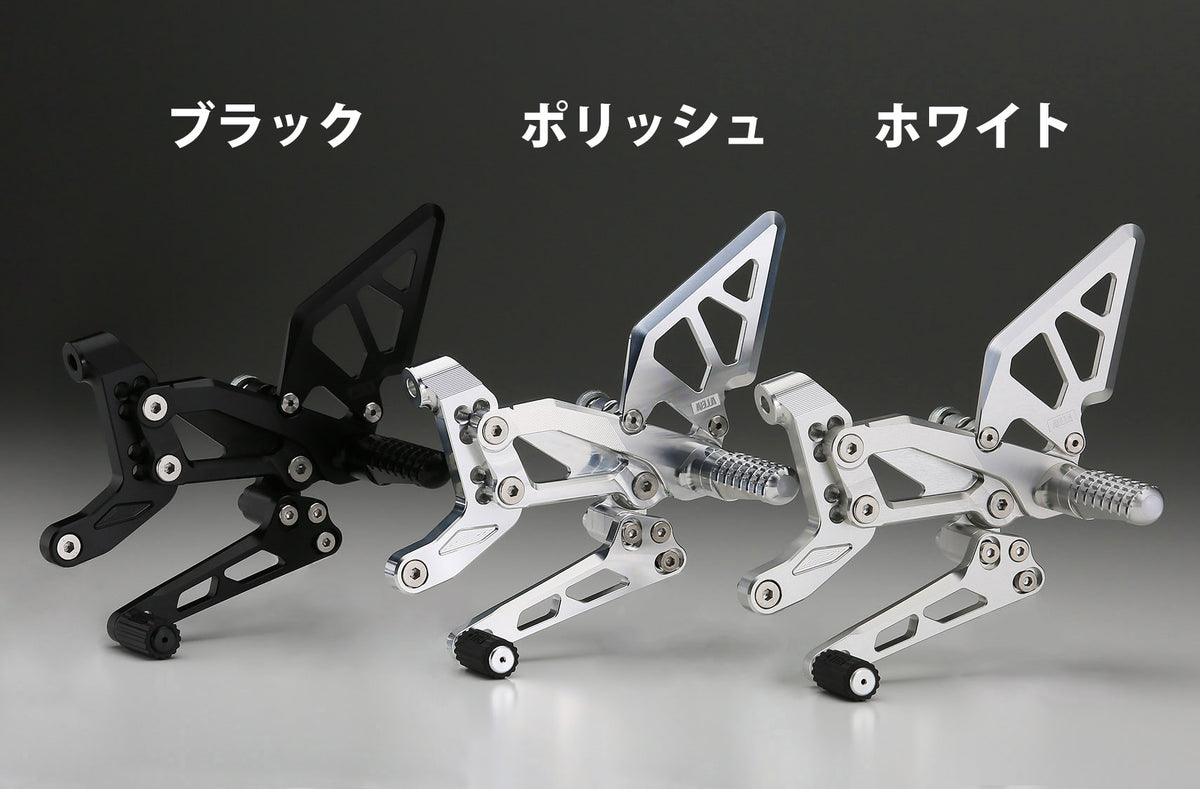 AELLA AE-10089A DUCATI PanigaleV4 V4R Riding Step Kit Panigale V4 Ducati