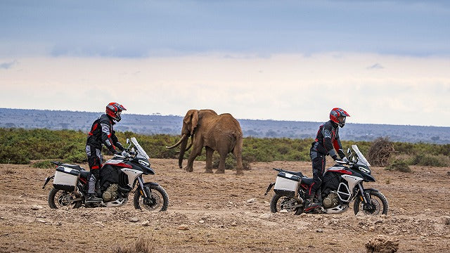 DUCATI サイドパニアケース 左 MultiStrada V4 ドゥカティ 純正 96720071AA