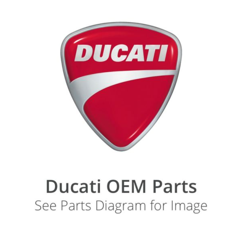 DUCATI Panigale V4 V4R 純正 スイングアーム 37020471AA ドゥカティ パニガーレ V4 2018−2024 DUCATI純正部品 正規商品