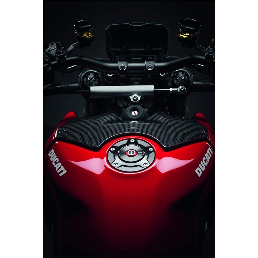 DUCATI StreetFighter V4 カーボンファイバー製タンクカバー 2020-2022 DP正規純正品 96981262AA