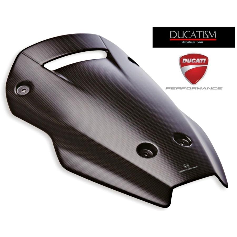 DUCATI Multistrada V4 Carbon Fiber Headlight Fairing (DP 96981381AB)