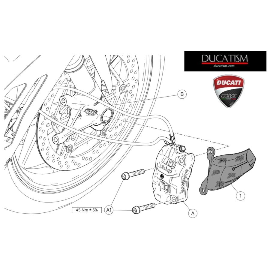DUCATI Panigale V4 carbon duct for brake cooling DucatiPerformance Genuine 96981471AA
