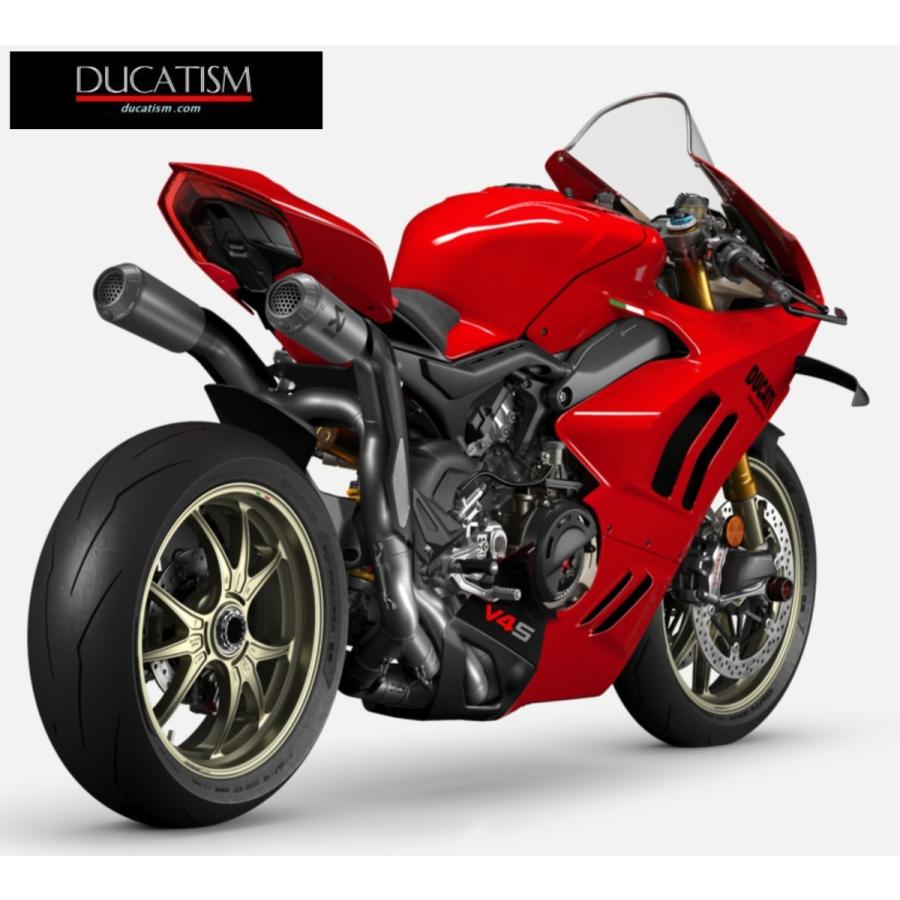 DUCATI Panigale V4/V4R 2022-2023-2024 Carbon Rear Fender Panigale Carbon Rear Mudguard Ducati Performance Genuine Product 96981551AA