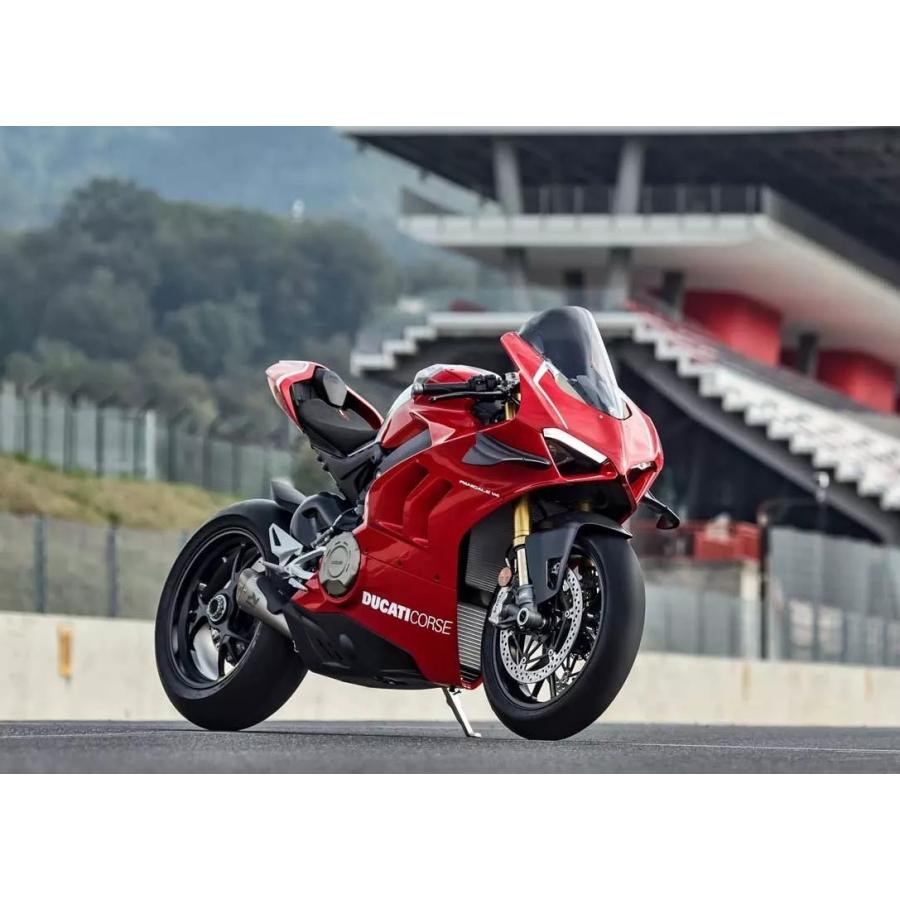 DUCATI パニガーレV4S Corse 用 塗装済 純正レーシング ロアフェアリングset アクラポビッチ フルエキ スリップオン PanigaleV4SCorse ドゥカティ 97180653AC