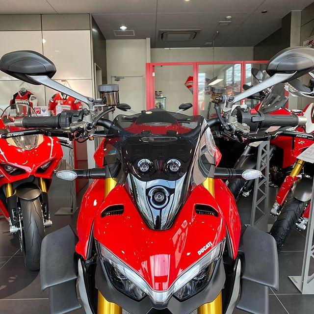 DUCATI StreetFighterV2 大型ヘッドライトフェアリング スモークウィンドスクリーン ドゥカティ ストリートファイターV2 DP純正品 97181041AA