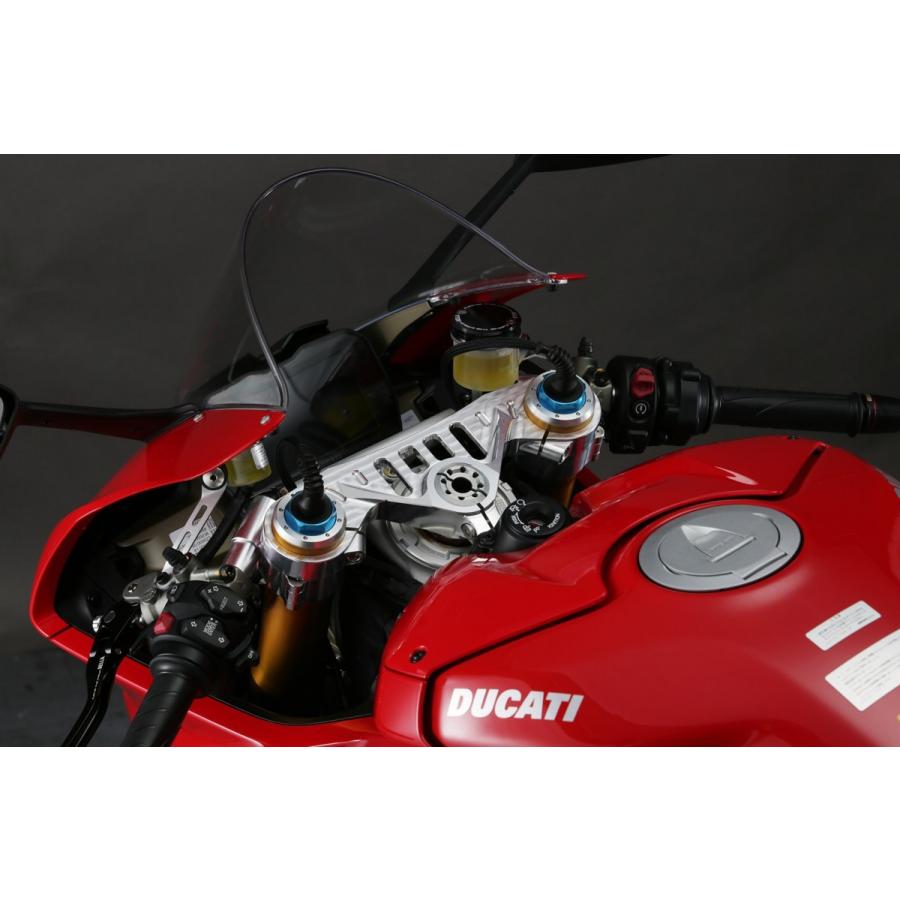 AELLA AE-02020 DUCATI PanigaleV4 V4R Top Bridge MotoGP Design Ducati