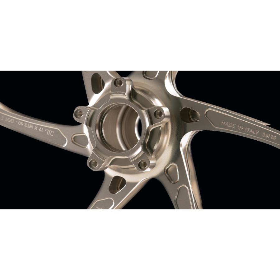 Ti Italy in stock DUCATI PanigaleV4 forged wheel set OZ-Racing GASS RS-A Panigale 1299 1199 DU102012G-60T -60B StreetFighterV4