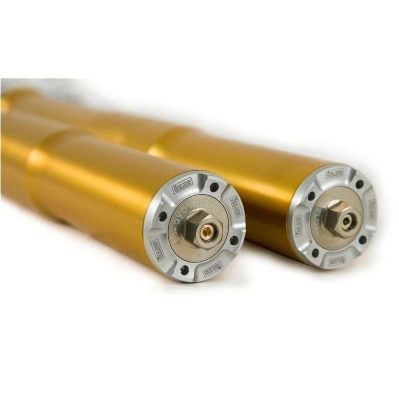 FGRT231 OHLINS Front fork DUCATI Panigale V4/V2/899/959 Panigale FG R&T NIX 43mm Gold
