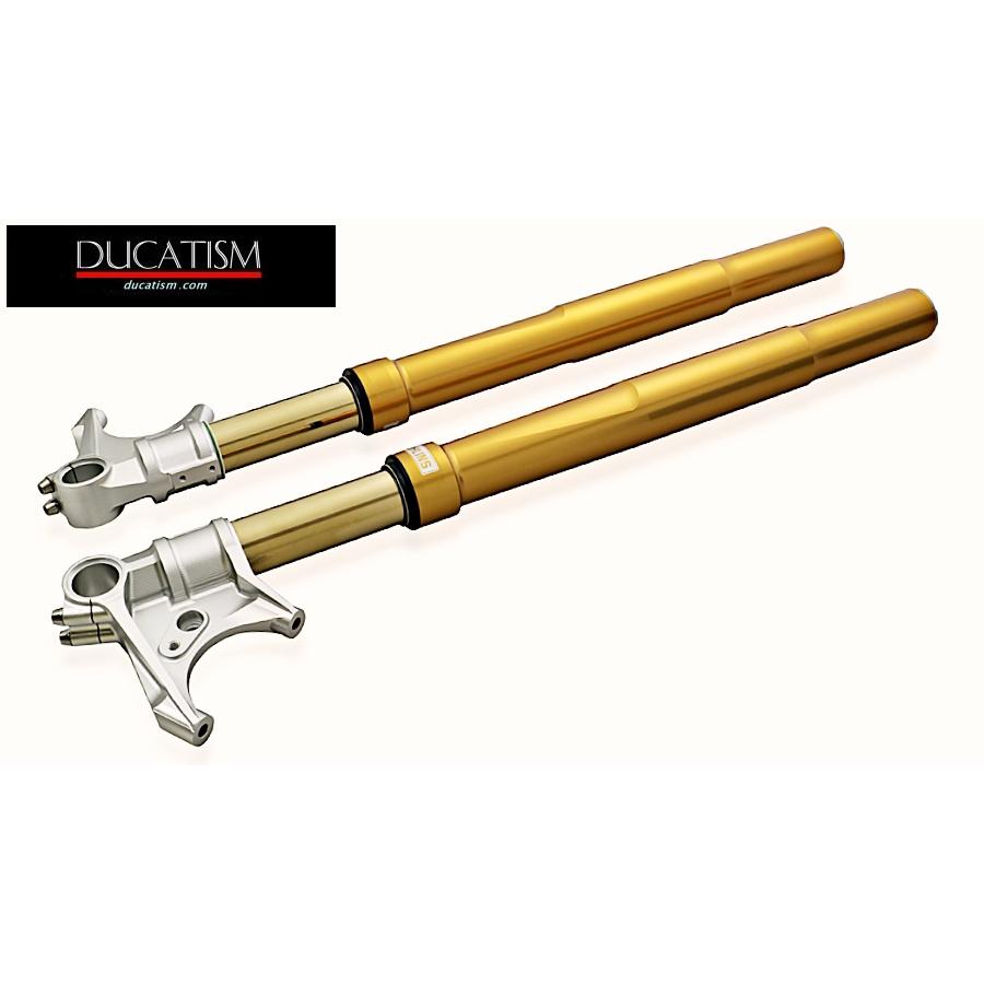 FGRT231 OHLINS Front fork DUCATI Panigale V4/V2/899/959 Panigale FG R&T NIX 43mm Gold