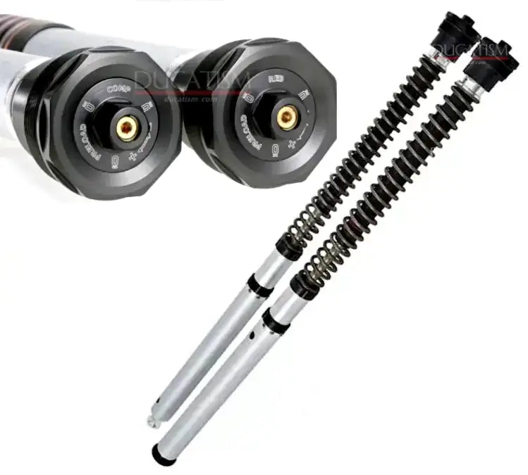 イタリア在庫あり FKS511 OHLINS インナー カートリッジ kit NIX30 Kawasaki Z900 RS/CAFE カワサキ フロント フォーク オーリンズ