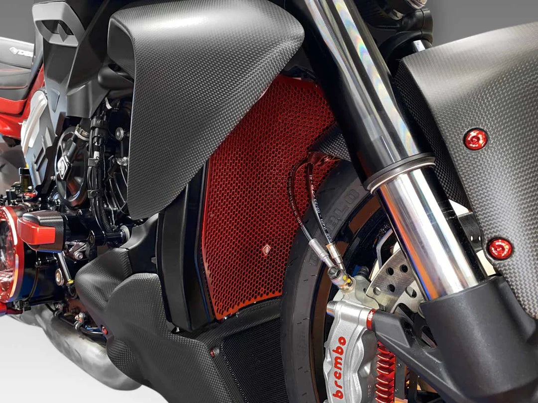 DUCABIKE DBK ラジエーター ガード Diavel V4 ディアベルV4 GR16A