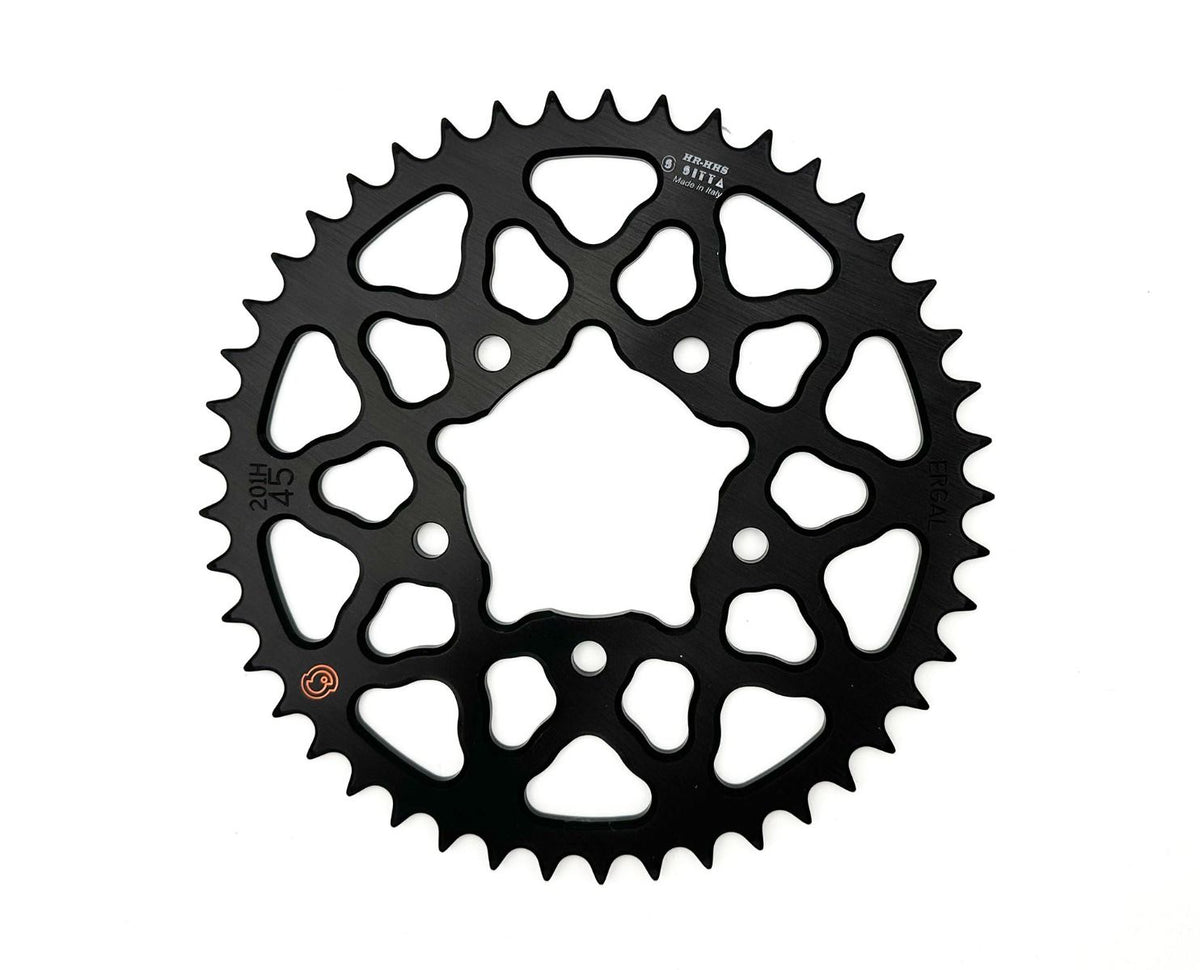 SITTA ERGAL Aluminum Rear Sprocket 211D 520 DUCATI 2025 PanigaleV2 StreetFighterV2