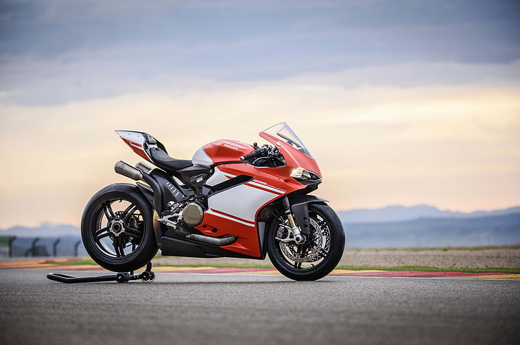 12/14イタリア在庫あり DUCATI 1299 Panigale R FE ファイナルエディション Akravovic フルエキゾースト –  DUCATISM