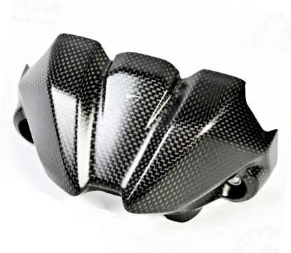 DUCATI 2025 StreetFighter V2 カーボン製  インストゥルメントパネルドゥカティ 96982131AA DP純正