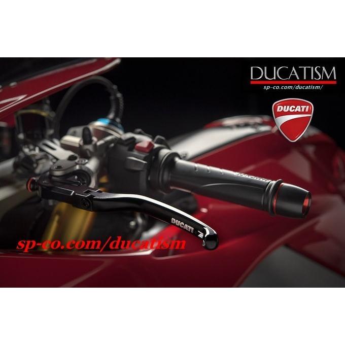 DUCATI Panigale V4 Brake Lever Protection 96180521A Panigale V4 Ducati Performance Genuine Rizoma Lever Guard