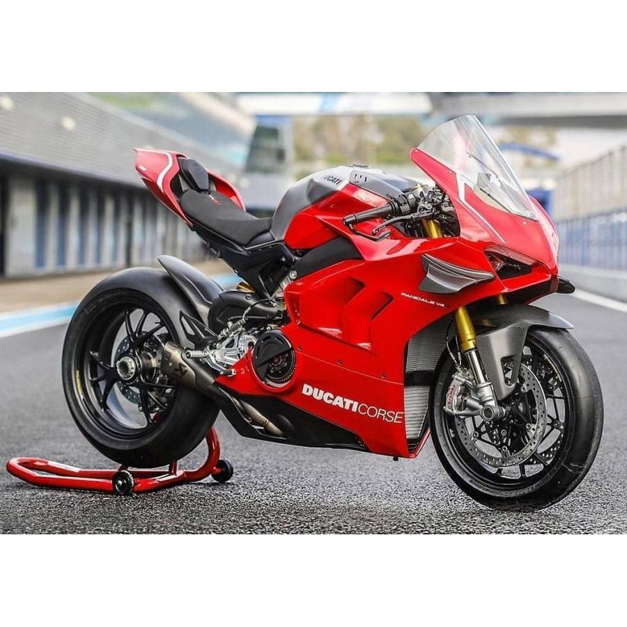 DUCATI PanigaleV4 カーボン リアフェンダー レーシングフルエキ用 リアマッドガード パニガーレV4 ドゥカティ DP純正 SFV4 96981161A