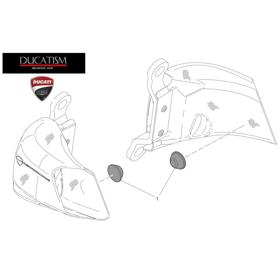 DUCATI Panigale V4 carbon duct for brake cooling DucatiPerformance Genuine 96981471AA
