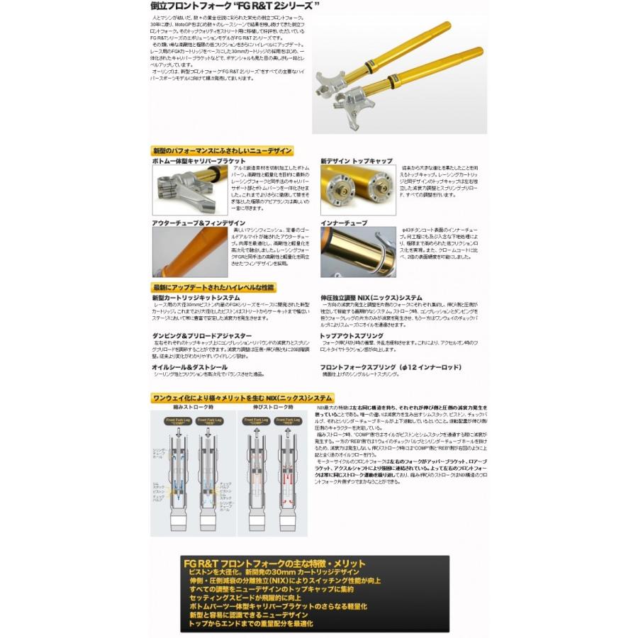 FGRT231 OHLINS Front fork DUCATI Panigale V4/V2/899/959 Panigale FG R&T NIX 43mm Gold