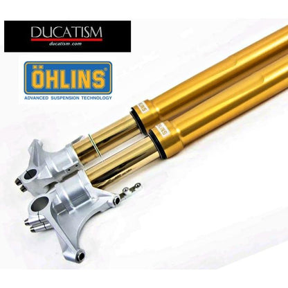 5/17 Stock in Italy Stock in Italy FGRT214 OHLINS OHLINS front fork DUCATI P anigale V4/V2/899/959 Panigale FG R&amp;T NIX 43mm black